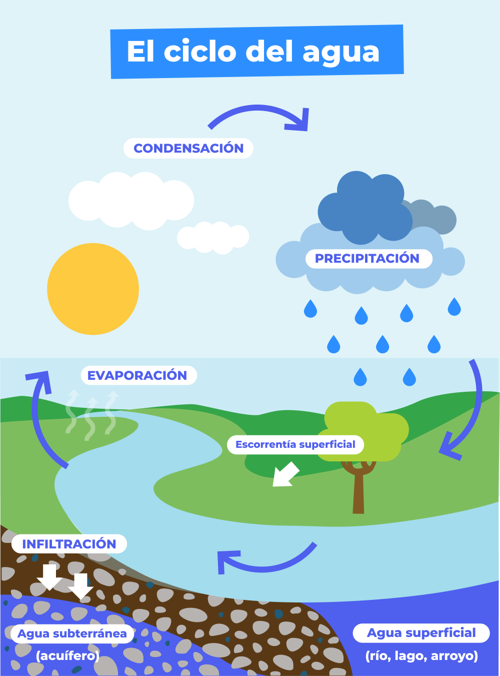 ciclo del agua para ninos