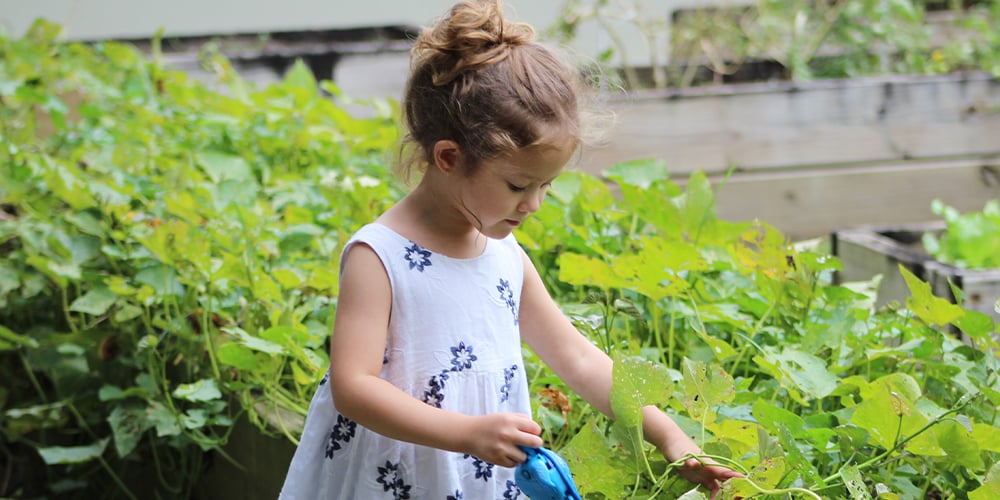 child playing in the garden