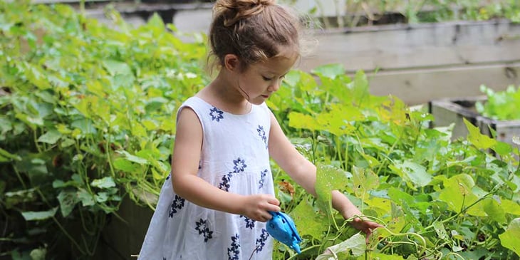 child-gardening