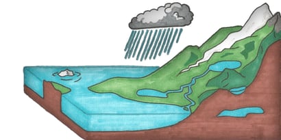 Want to Know More About the Water Cycle? Keep Reading!