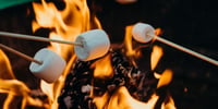 roasting marshmallows on bonfire night