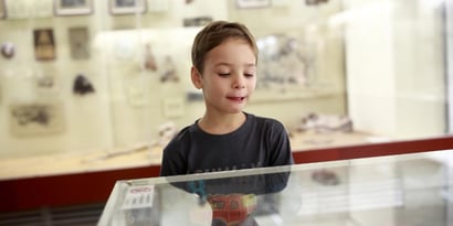 Great Museums in the Capital - What is the Best Museum for Kids in London?