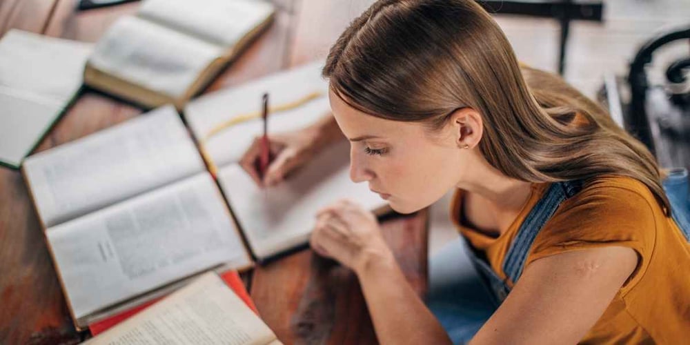 how do we write essays student-writing