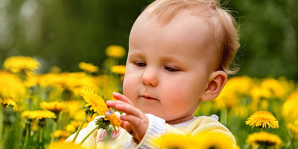 baby in a field touching flowers