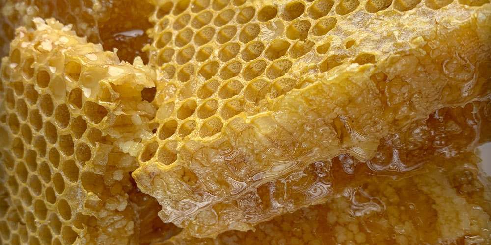 perche le celle dei favi delle api sono esagonali