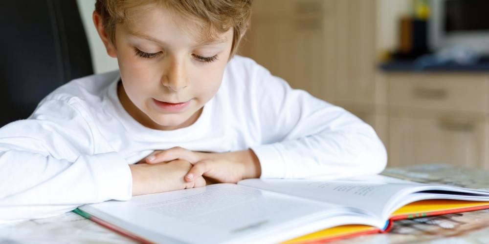 boy reading homeschooling